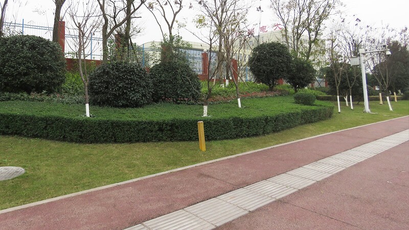 泸州教科城6号路建设工程(A标）(图4)