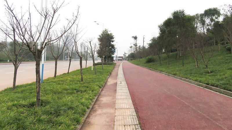 泸州教科城6号路建设工程(B标）(图3)