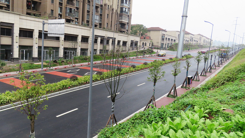 蓝杨路工程(图5)