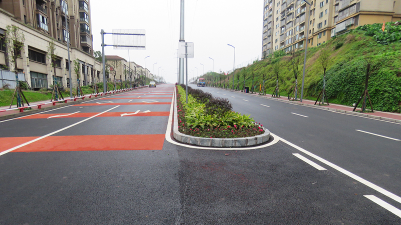 蓝杨路工程(图4)